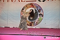VBS_4630 - Festival dell'Oriente 2022